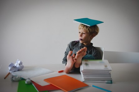 ZŠ - individuální vzdělávání, domácí vzdělávání