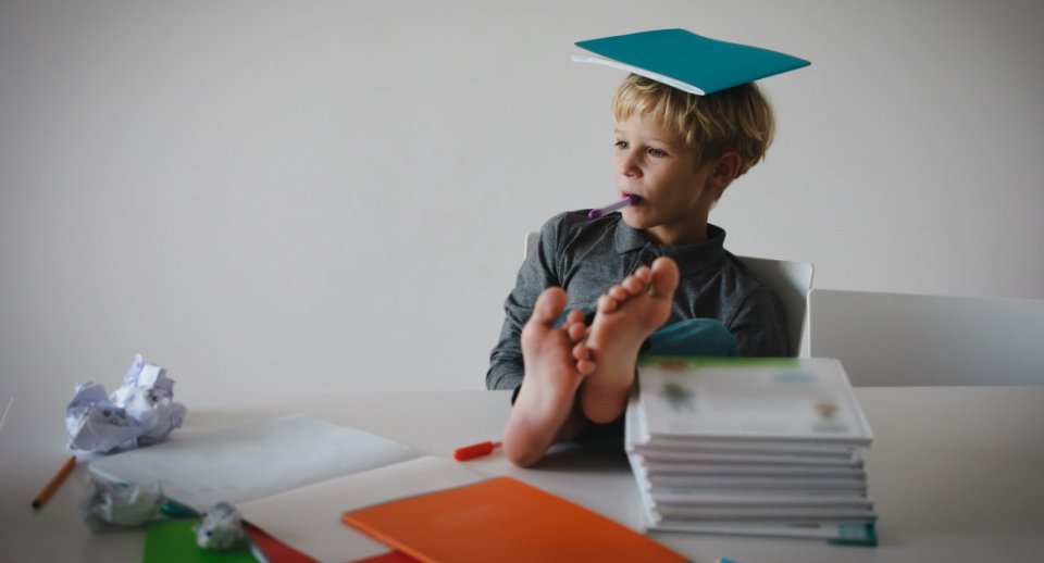 Škola individuálního vzdělávání